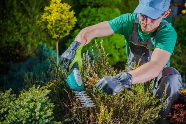 landscaping services Fremont Hills